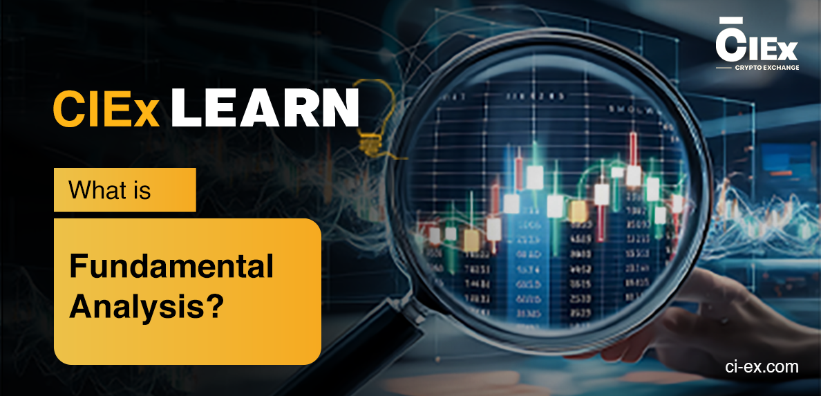 Fund Analysis